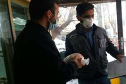 بازرسی اداره دامپزشکی شهرستان زاوه از رستورانهای بین راهی و داخل شهر 